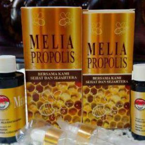 Propolis Melia MSS Original Tentunya